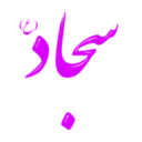 download Alinn Imam Sajjad As clipart image with 45 hue color