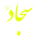 download Alinn Imam Sajjad As clipart image with 180 hue color