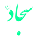 download Alinn Imam Sajjad As clipart image with 270 hue color