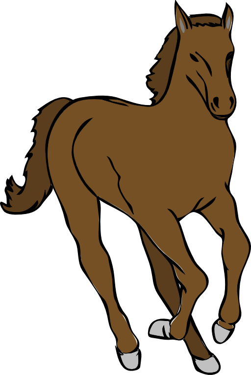 Architetto Cavallo 20