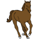 download Architetto Cavallo 20 clipart image with 0 hue color