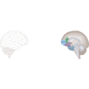 download Human Brain clipart image with 180 hue color