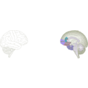 download Human Brain clipart image with 225 hue color