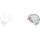 download Human Brain clipart image with 315 hue color