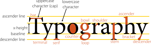 Anatomy Of Type