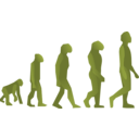 download Evolution Steps clipart image with 45 hue color