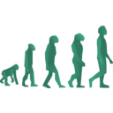 download Evolution Steps clipart image with 135 hue color