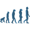 download Evolution Steps clipart image with 180 hue color