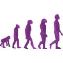 download Evolution Steps clipart image with 270 hue color