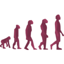 download Evolution Steps clipart image with 315 hue color