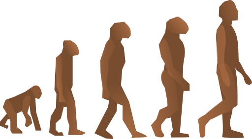 Evolution Steps