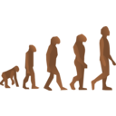 download Evolution Steps clipart image with 0 hue color