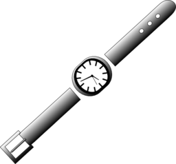 Wristwatch Icon