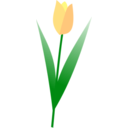 download Tulip clipart image with 45 hue color