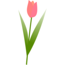 download Tulip clipart image with 0 hue color