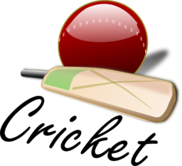 Cricket 03