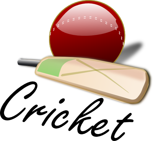 Cricket 03