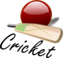 Cricket 03