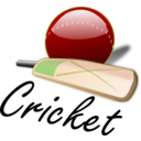 Cricket 03