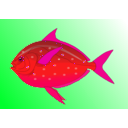 download Fish clipart image with 315 hue color