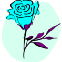 download Coloured Rose clipart image with 180 hue color
