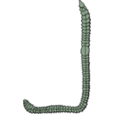 download Earthworm clipart image with 90 hue color