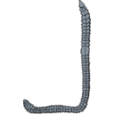 download Earthworm clipart image with 180 hue color