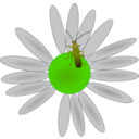 download Bug On A Flower clipart image with 45 hue color