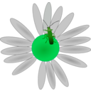 download Bug On A Flower clipart image with 90 hue color