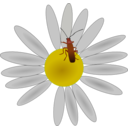 download Bug On A Flower clipart image with 0 hue color