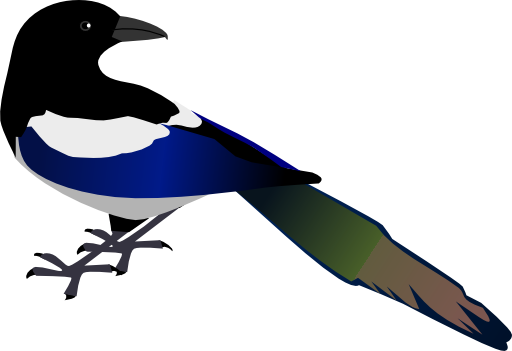 Magpie