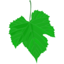 download Grape Leaf clipart image with 45 hue color