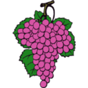 download Grape Cluster clipart image with 45 hue color