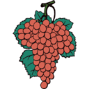 download Grape Cluster clipart image with 90 hue color