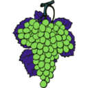 download Grape Cluster clipart image with 180 hue color