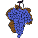 download Grape Cluster clipart image with 315 hue color