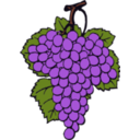 download Grape Cluster clipart image with 0 hue color