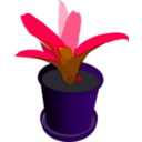 download Bromeliad In A Pot clipart image with 270 hue color