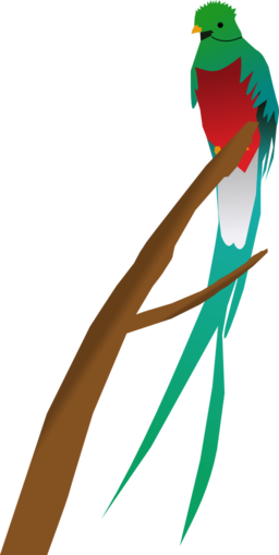 Quetzal