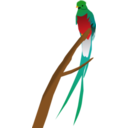 download Quetzal clipart image with 0 hue color