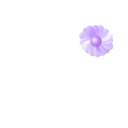 download Blue Flower clipart image with 45 hue color