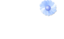 Blue Flower