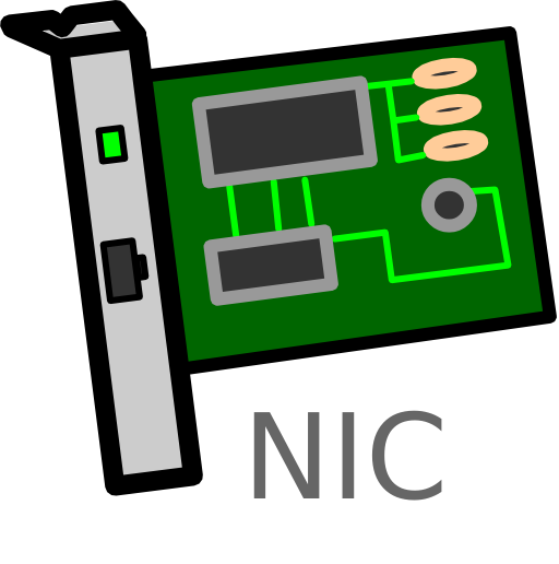 Network Interface Card Labelled