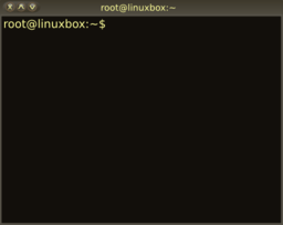 Linux Terminal Window