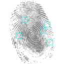 download Fingerprint clipart image with 180 hue color