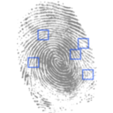 download Fingerprint clipart image with 225 hue color