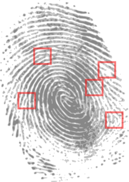 Fingerprint