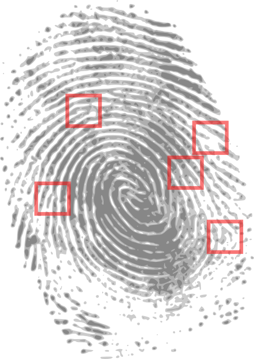 Fingerprint