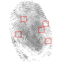 Fingerprint