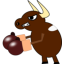 Fighting Cow